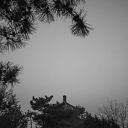 休闲冒险游戏《Duck Side of the Moon》Steam页面开放 发售日待定